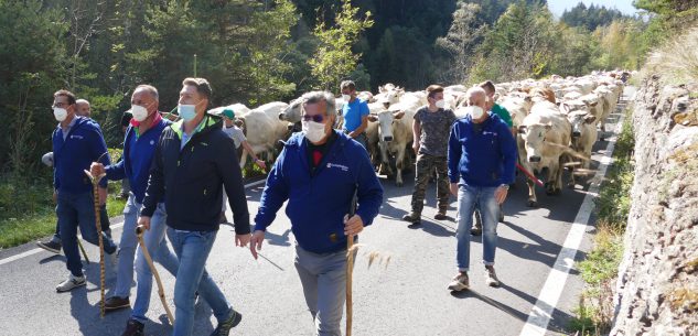 La Guida - A Celle Macra la nuova edizione di “Caluma el vache”