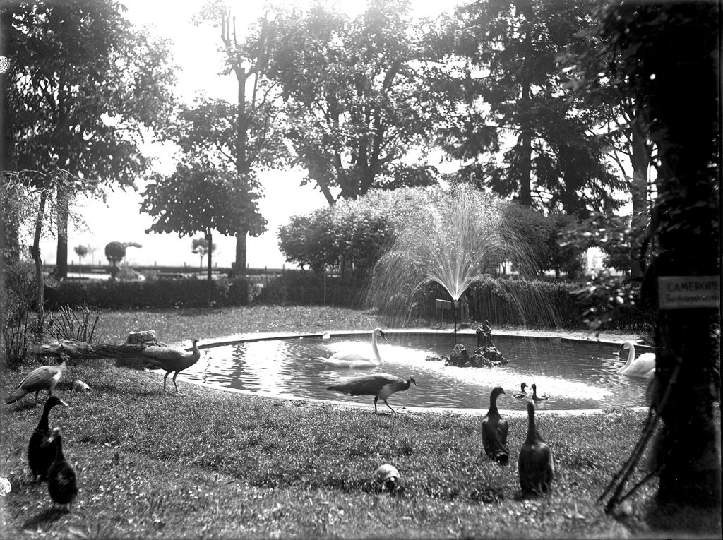 Giardini Fresia - Archivio Museo Civico di _scatola 52g 403