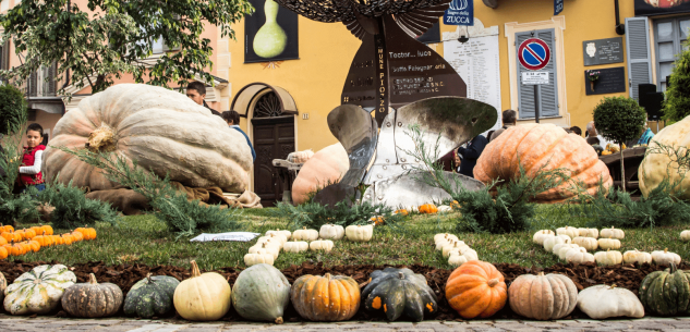 La Guida - A Piozzo è tempo di “Zucca in piazza”