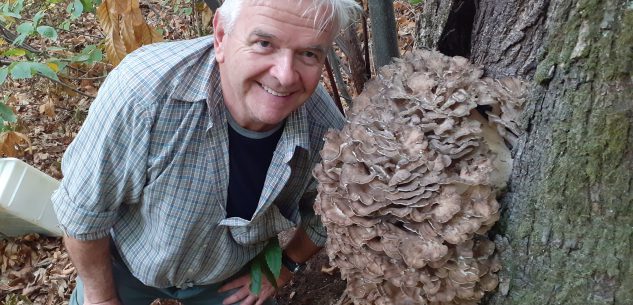 La Guida - Funghi, “urie” di otto chili nei boschi di Cervasca