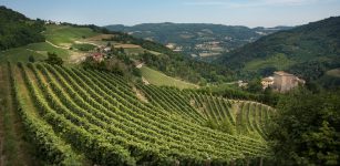 La Guida - Il Distretto del Cibo del Cebano-Alta Langa sarà coordinato da un Consorzio