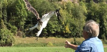 La Guida - Dalla Regione 100 mila euro per i Centri di recupero fauna selvatica