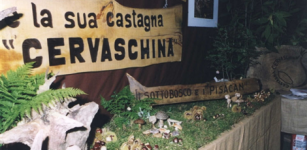 Colori e sapori dell’autunno a Cervasca La Guida - Colori e sapori dell’autunno a Cervasca