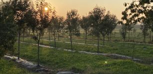 La Guida - Castagno e cibo, Cuneo e Chiusa Pesio capitali della ricerca