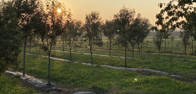 La Guida - Castagno e cibo, Cuneo e Chiusa Pesio capitali della ricerca