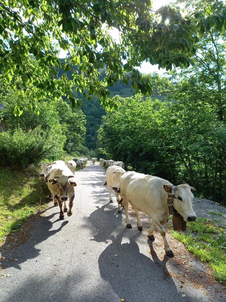 Busca_un momento durante il percorso da Elva verso la pianura