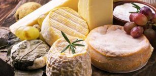 La Guida - La due giorni dei formaggi all’Abbazia di Staffarda