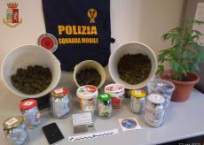 La Guida - Deteneva in casa 1,5 kg di marijuana: arrestato