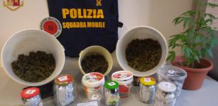 La Guida - Deteneva in casa 1,5 kg di marijuana: arrestato