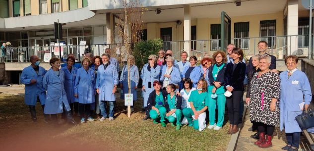 La Guida - Una betulla all’ingresso dell’ospedale, messaggio di speranza dei volontari Avo