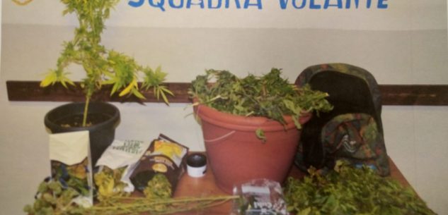 La Guida - Un chilo e 800 grammi di marijuana in casa di un giovane cuneese