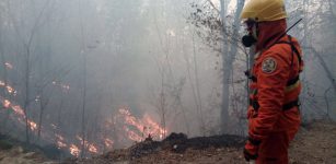 La Guida - Esercitazione provinciale antincendi boschivi a Limone