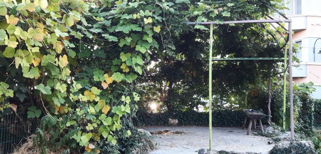 La Guida - Giardini Fresia, il comitato del centro storico chiede interventi urgenti