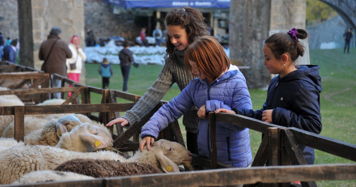 I CAMPANACCI PER BOVINI E OVINI : FIERA DEI SANTI VINADIO (CN