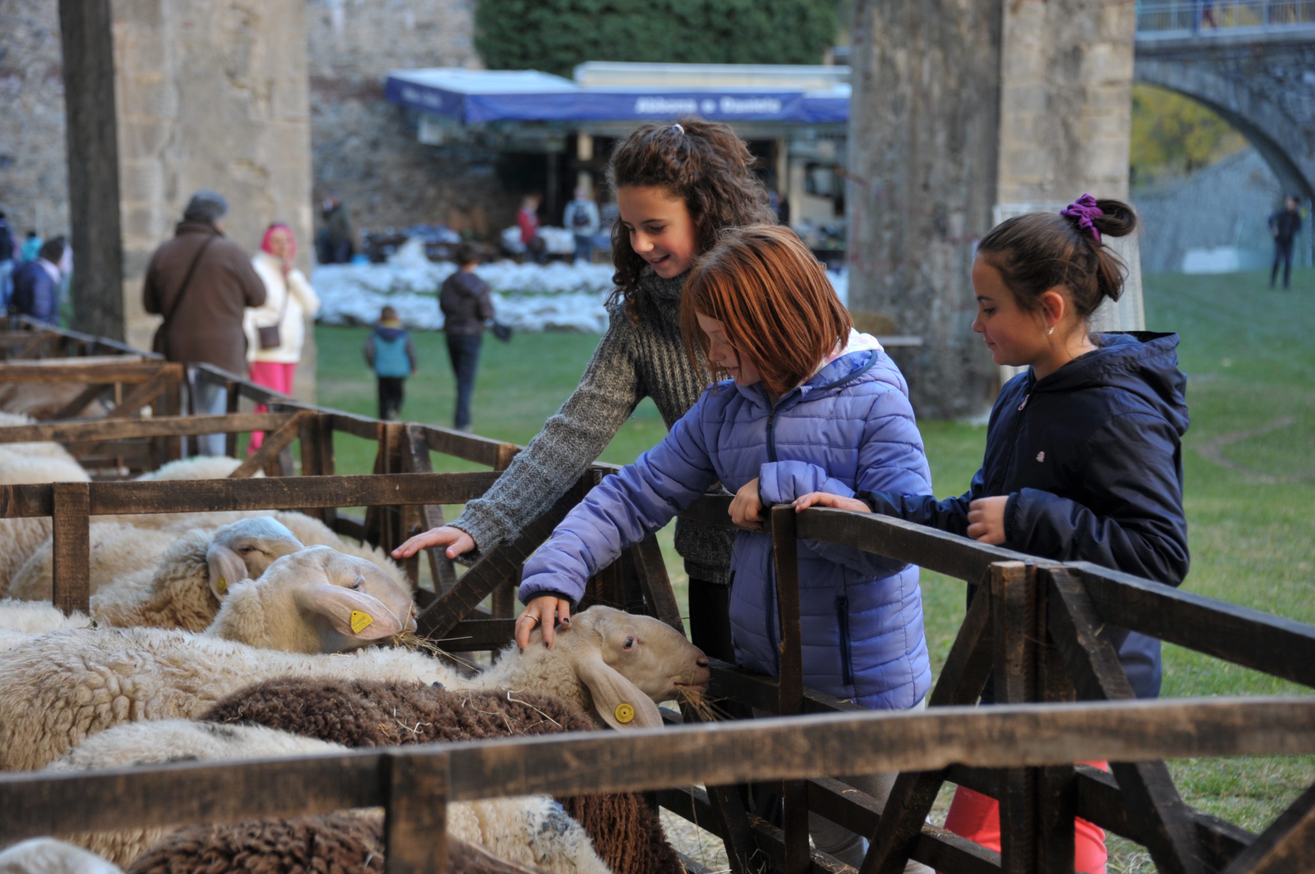 I CAMPANACCI PER BOVINI E OVINI : FIERA DEI SANTI VINADIO (CN) - 26 - 10 -  2014. 