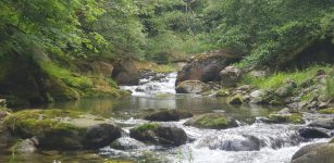 La Guida - A Ostana la comunità custode di biodiversità “Acque del Monviso”