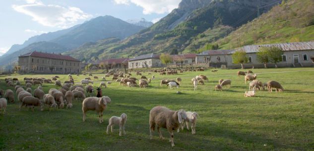 La Guida - Il marchio di prodotti made in Valle Stura “Montagnam” si presenta a Rittana