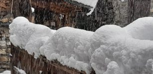 La Guida - Troppa neve in pista: Bassino non gareggia a Saint Moritz