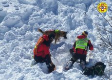 La Guida - Pronte le unità cinofile da valanga del Soccorso alpino