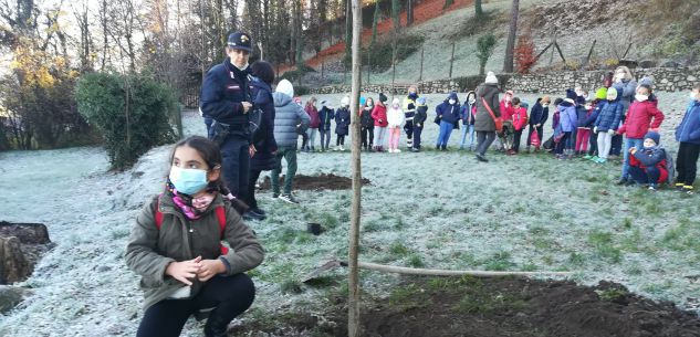 La Guida - Due frassini al Parco Grandis per la Giornata Nazionale dell’Albero