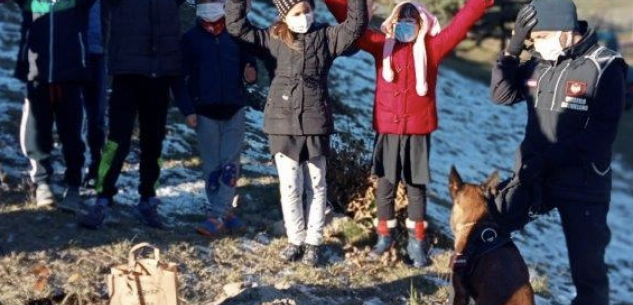 La Guida - I carabinieri forestali in 16 istituti scolastici per la festa dell’albero