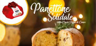 La Guida - Il panettone solidale della Croce Rossa Cuneo