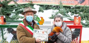 La Guida - Due giorni di Fiera nazionale del cappone di Morozzo