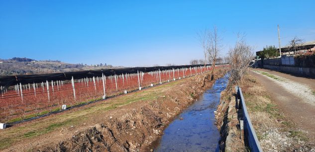 La Guida - Interventi sul rio Talutto a Costigliole Saluzzo