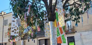 La Guida - Gli alberi di Largo Caraglio si vestono a festa