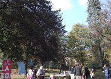 La Guida - Sabato 18 dicembre l’iniziativa “Addobbiamo Parco Monviso”