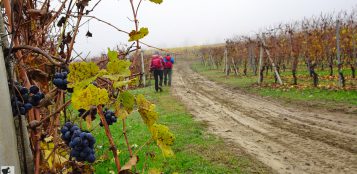 La Guida - Escursioni nelle Langhe e sull’Alta Via dei Monti Liguri