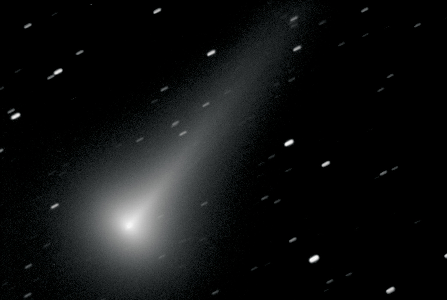 Cometa Leonard foto andrea mantero