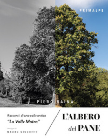 l'albero del pane di piero raina