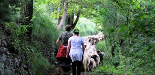 La Guida - “Sguardi alt(r)i sulla Valle Stura”, assegnato il premio per la tesi di laurea