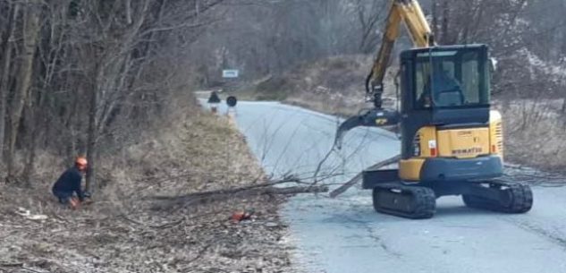 La Guida - Operai forestali della Regione al lavoro a Sampeyre