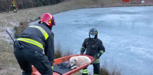 La Guida - Vigili del fuoco recuperano un cane su un laghetto gelato