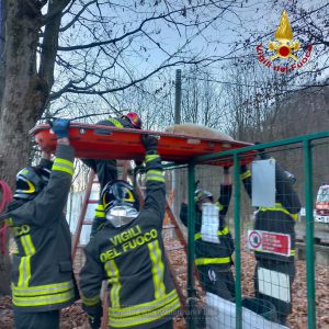 Vigili del fuoco trasportano un cane fuori da un laghetto gelato