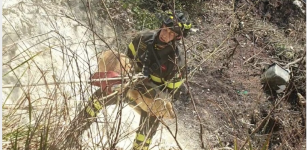 La Guida - Cane precipita in un dirupo: salvato dai Vigili del Fuoco