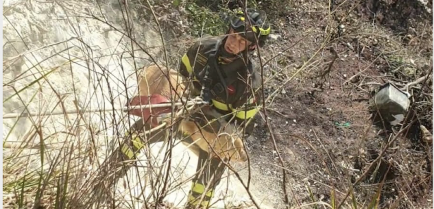 La Guida - Cane precipita in un dirupo: salvato dai Vigili del Fuoco