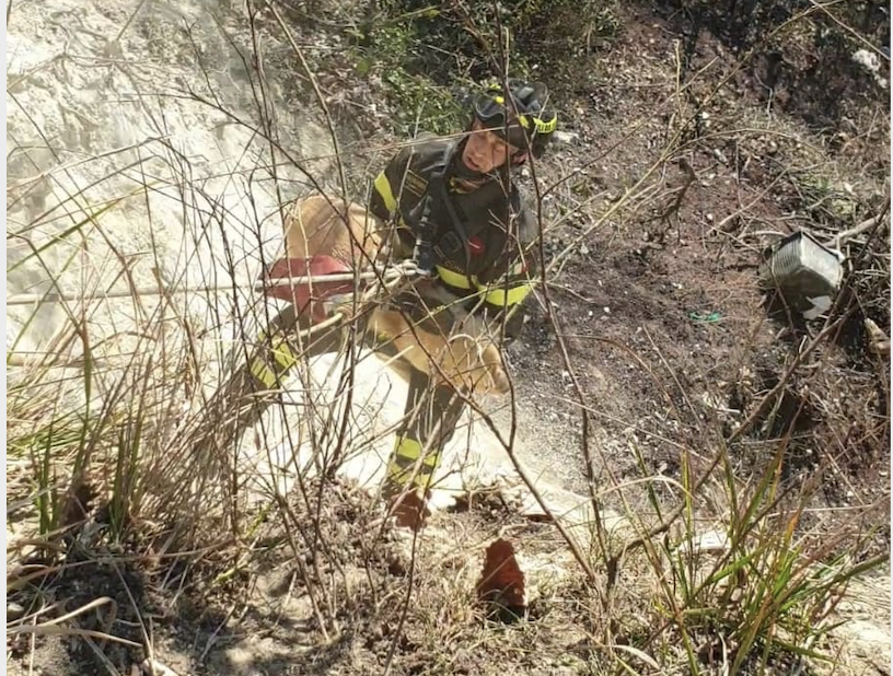 cane salvato da vigili del fuoco