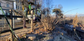 La Guida - Nuovi alberi in corso Kennedy e nella ripa dopo il tarlo asiatico