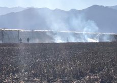 La Guida - Sterpaglie a fuoco, intervengono i vigili del fuoco