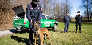 Due cani avvelenati con esche in una zona per raccolta tartufi La Guida - Due cani avvelenati con esche in una zona per raccolta tartufi