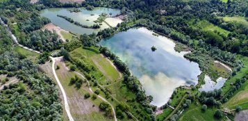 La Guida - Colpita da pallini da caccia nel parco fluviale