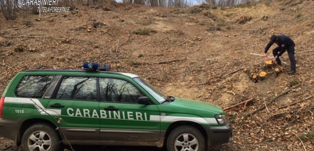 La Guida - Carabinieri Forestali: diecimila servizi nel 2021
