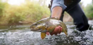 La Guida - I problemi di pesca in valle Varaita