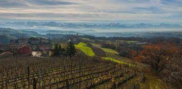 La Guida - In Granda 4.600 imprese agricole guidate da donne