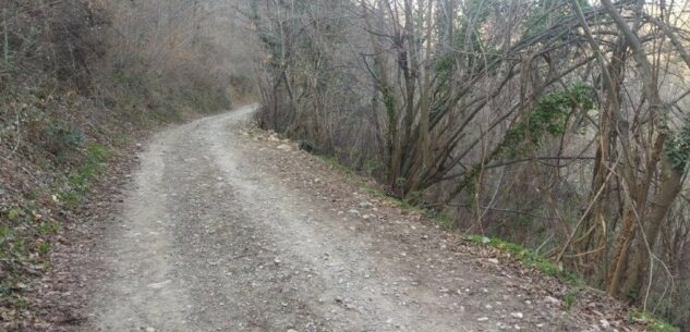 La Guida - Il Comune di Borgo ripulisce la zona inquinata sul lato Stura del Parco Fluviale