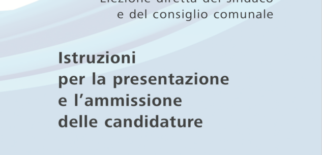 La Guida - Solo le istruzioni per la campagna elettorale ma non la data