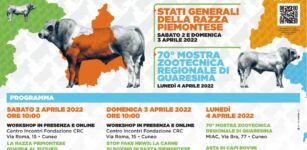 Razza bovina Piemontese, in rassegna per rilanciare il comparto La Guida - Razza bovina Piemontese, in rassegna per rilanciare il comparto